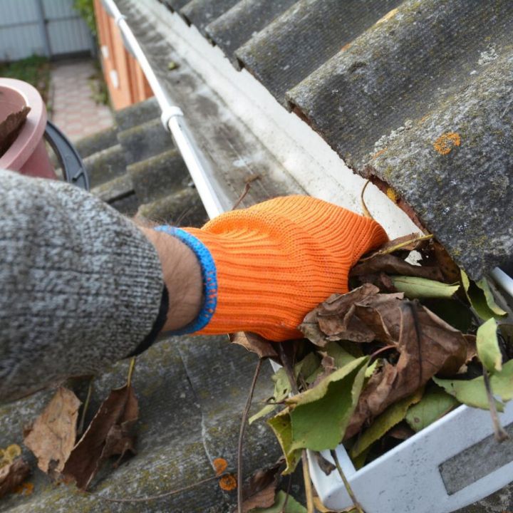Roof Cleaning in Grimsby