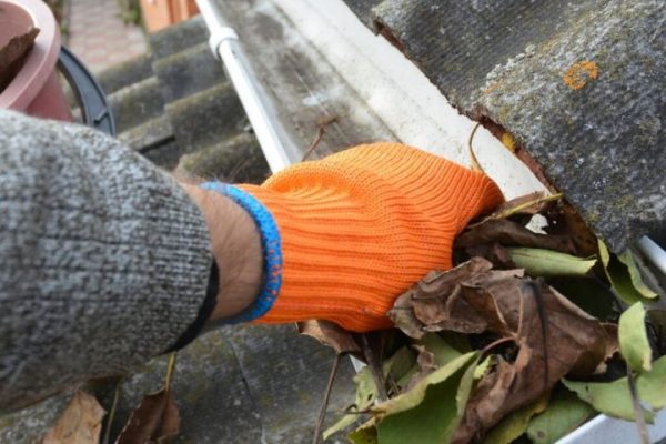 Gutter cleaning service in Grimsby removing debris for optimal water flow and home protection